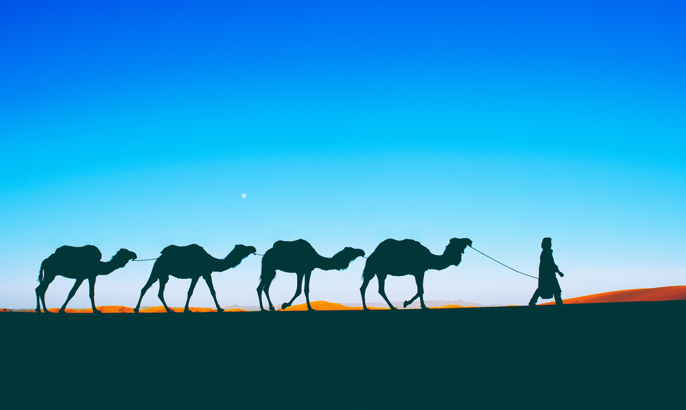 Arab caravan